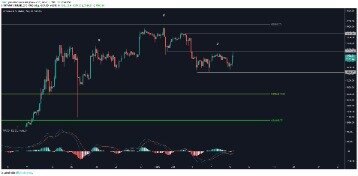 Crypto Markets Suffer Heavy Losses, Bitcoin Price Sinks More Than 25% In 24 Hours