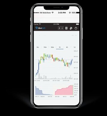 margin trading bitcoin