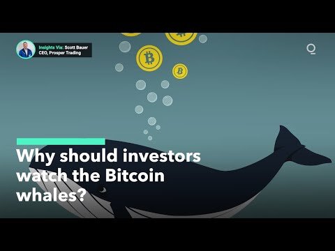 bitcoin whales