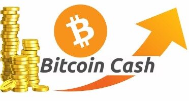 bitcoin cash news